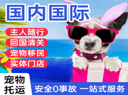 大连航空快运国际宠物托运 【国
